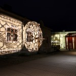 IMG_7647