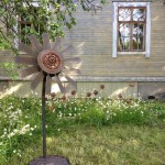 IMG_8386 web